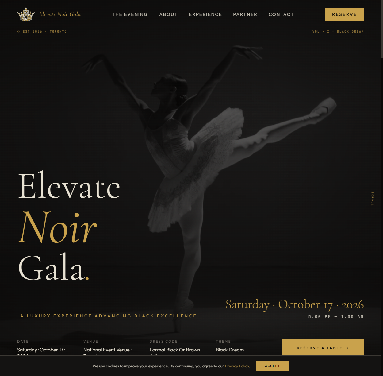Elevate Noir Gala website screenshot